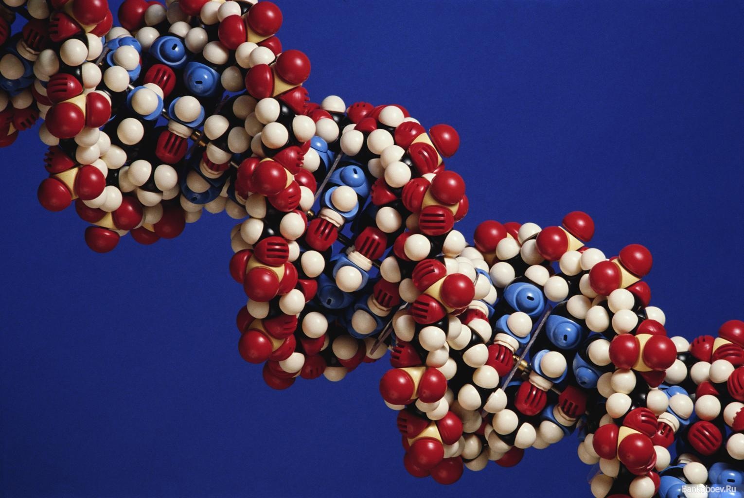 Нобелевку по химии вручили за изучение репарации ДНК