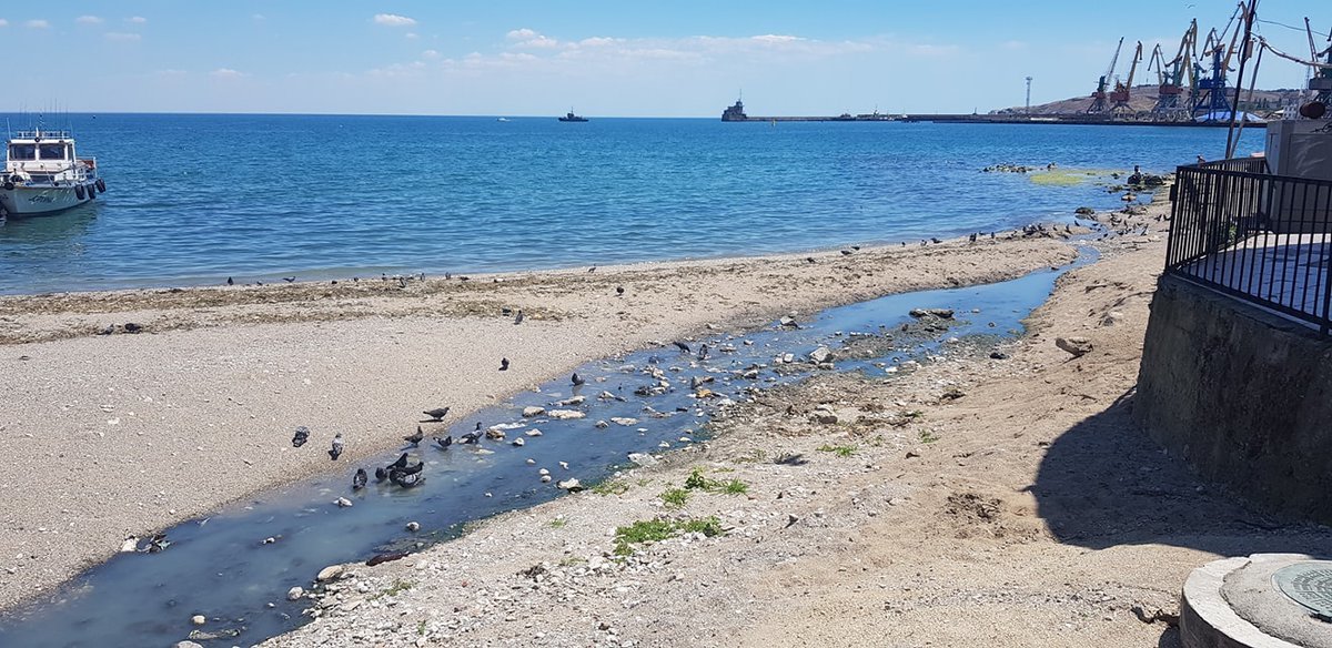 Море в Крыму превратилось в болото: появились фото 
