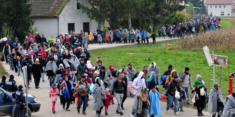 Словения резко ограничила пропуск транзитных мигрантов через свою территорию