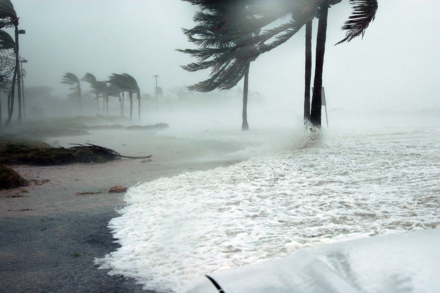 Ураган Мэттью: во Флориде объявлено чрезвычайное положение 