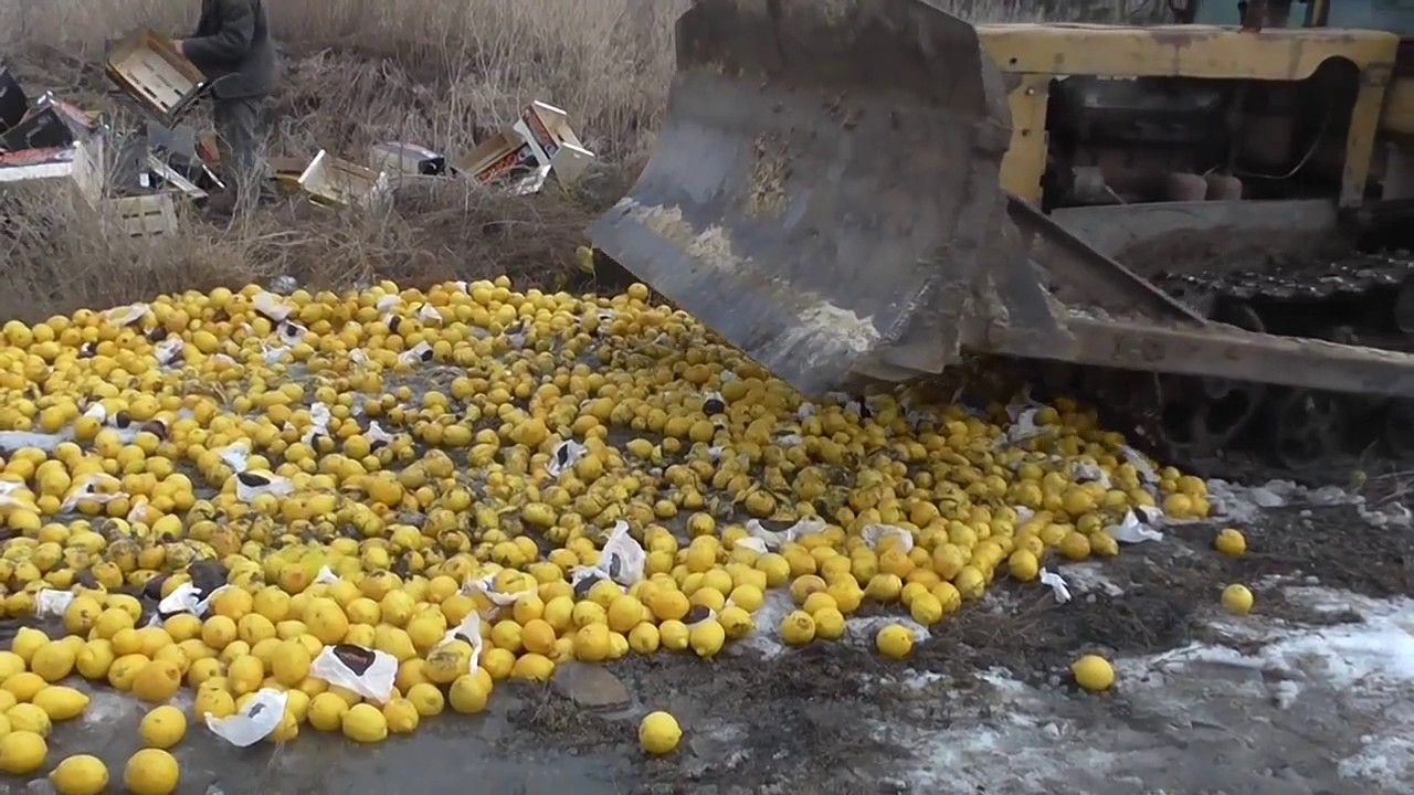 Россия за два года уничтожила около 17 тыс тонн санкционных продуктов