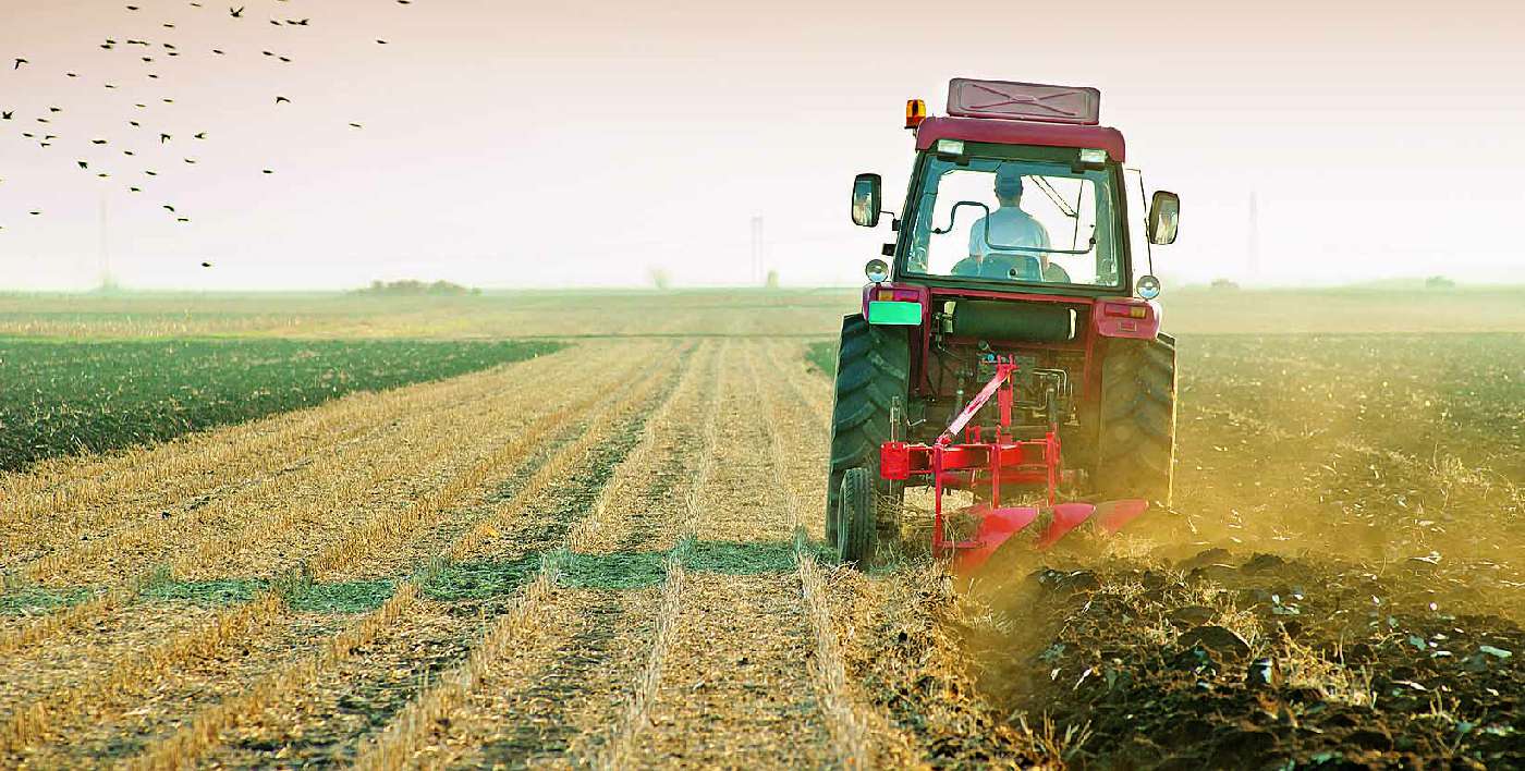Самую низкую финансовую поддержку агросектора Украины получило фермерское направление