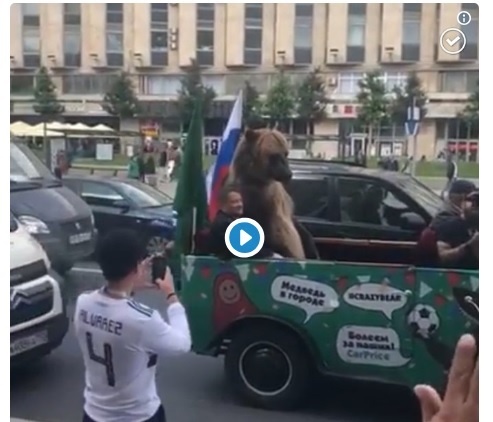 ЧМ - 2018: в Москве медведь показывал туристам ЧМ-2018 неприличные жесты (видео)
