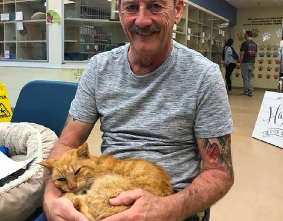 Кот, который пропал после урагана, вернулся к хозяину через 14 лет