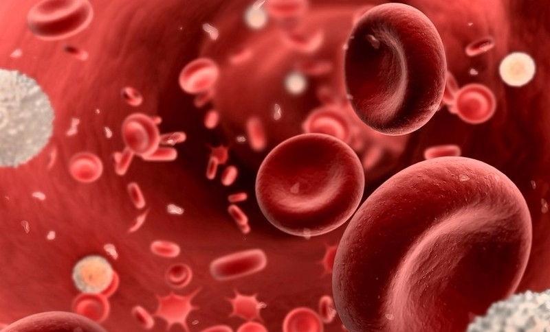 Группа крови и болезни: ученые сделали сенсационное открытие