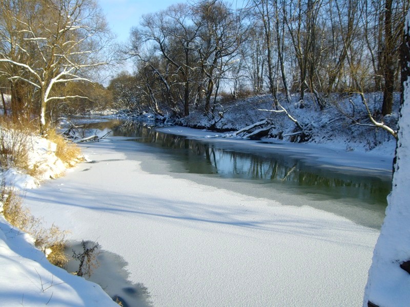 Фото: Река Козинка