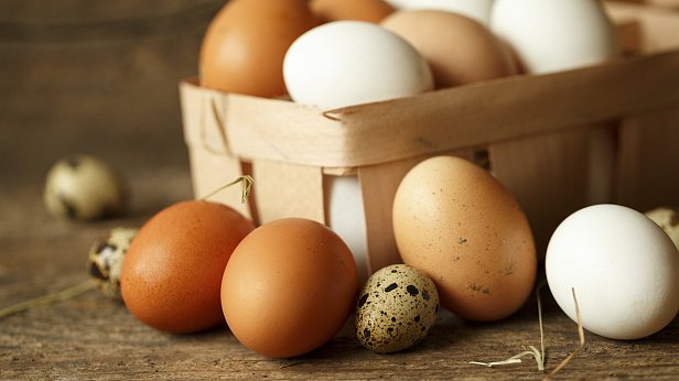 Экспорт украинских яиц вырос на рекордные 60%
