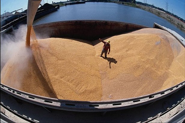 Украина экспортировала более 20 млн тонн зерновых на 12 января