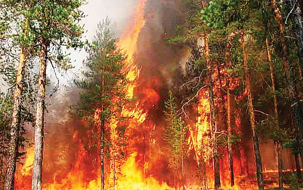 Пожар в Сватово полностью потушен - обладминистрация