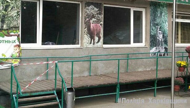 На Харьковщине обезьяны оторвали ухо и пальцы сотруднику зоопарка