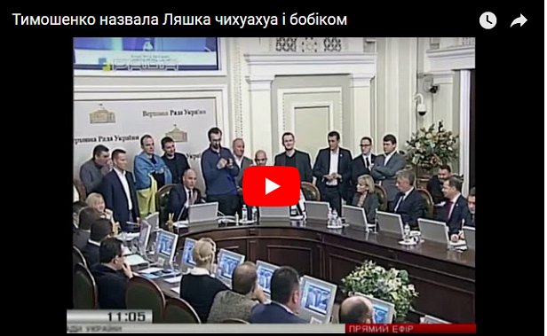 Чихуахуа, бобик и балабол: Тимошенко и Ляшко пообщались (видео)