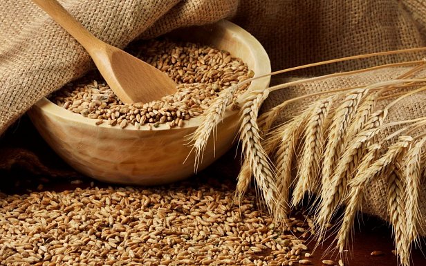 Украинские аграрии отправили на экспорт более 33 млн тонн зерновых