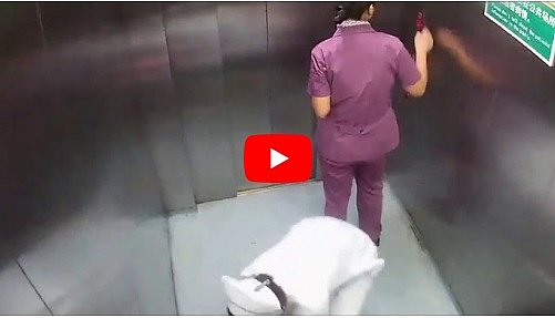 Пациентка не успела дойти до родильного отделения и стала мамой прямо в лифте (видео)