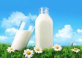 Датская «Даноша» открыла молочную ферму в Ивано-Франковской области 
