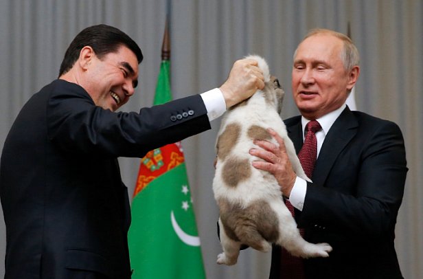 "Жалко собаку!" Путину подарили щенка алабая(фото)