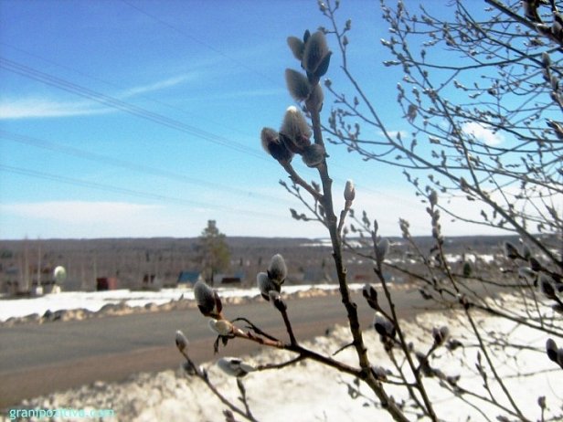  Погода в Украине на сегодня, 23 марта: холодно и ясно