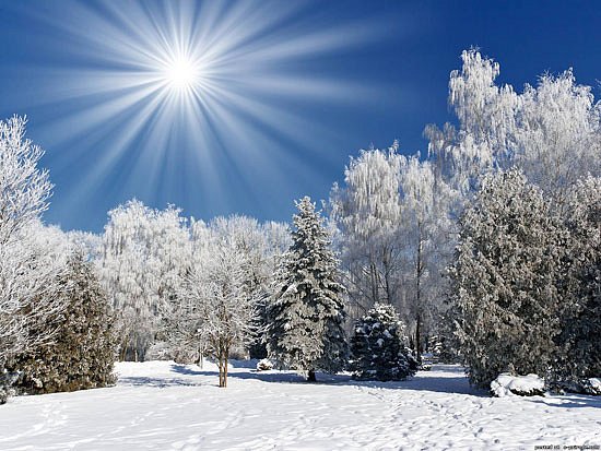 Погода сегодня: в Украине мороз до 8, в Донецке до 10, везде без осадков