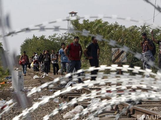 В Венгрии задержаны 60 беженцев, разрезавших забор