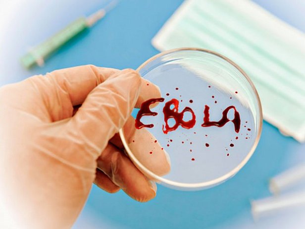 Британская медсестра вылечилась от лихорадку Эбола 