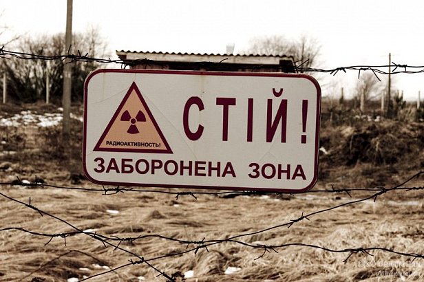Минэкологии предложило создать заповедник в Чернобыльской зоне