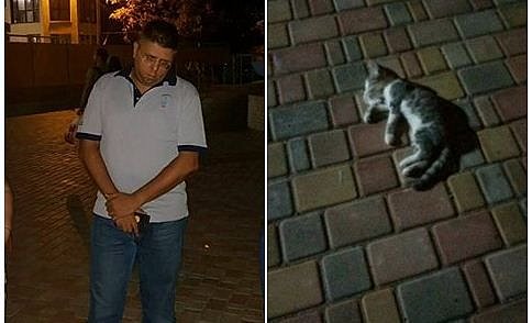 В Одессе мужчина, чтобы проучить дочь, выбросил с 14-го этажа её котёнка