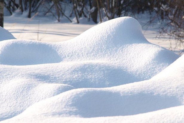 Погода на выходные: на Украину обрушатся новые снегопады
