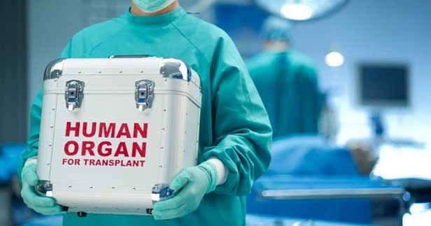 Рада приняла в первом чтении закон о трансплантации органов умерших