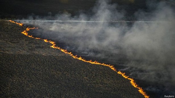 Пожар в Ченобыльской зоне возник в следствии умышленного поджога