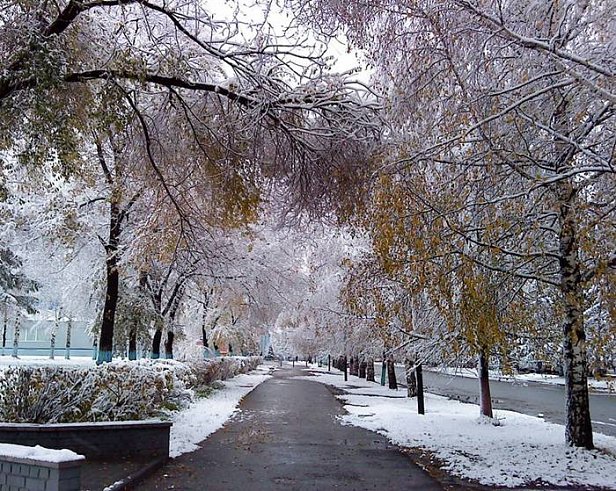 Погода на неделю 22–28 февраля в Киеве стабильно дождливая до пятницы, тепло от 6 до 9