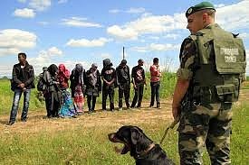 СБУ: на Закарпатье разоблачен канал незаконной миграции в ЕС