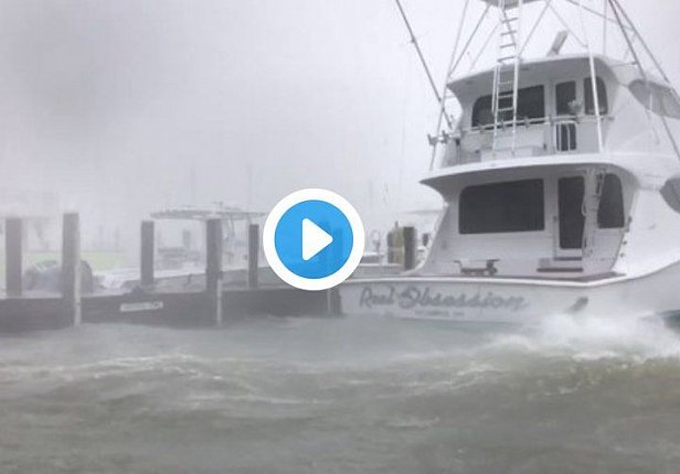 Опубликованы видео бушующего урагана Ирма во Флориде