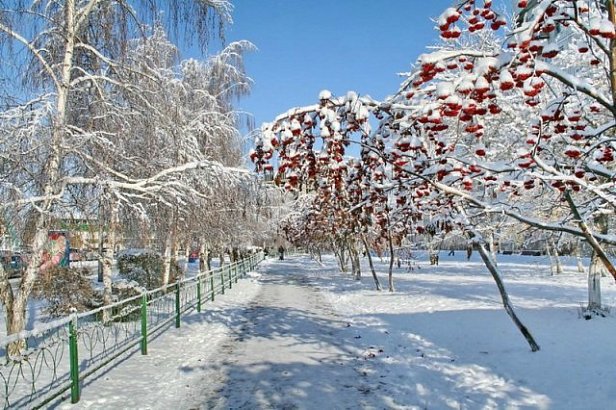 29 ноября Матвеев день: как узнать, какой будет зима 2018