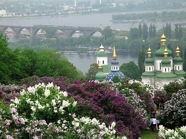 Погода в Украине сегодня: дождливо, но тепло до 23 в Виннице, Кировограде и Чернигове