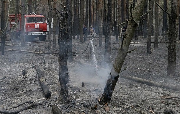  Пожары в Киевской области: площадь возгорания сократилась до 114 га