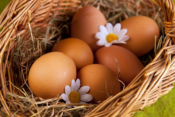 Экспорт отечественных яиц за год сократился  