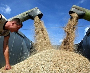 Новости 17 июня: Рекорд экспорта зерна и по-прежнему неуступчивые кредиторы