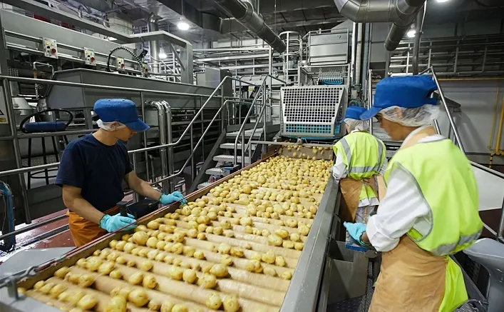 Україна може втрачати до €4 млрд щорічно в разі скасування ЄС торгівельних преференцій, виходом стане нарощування перероблювання.