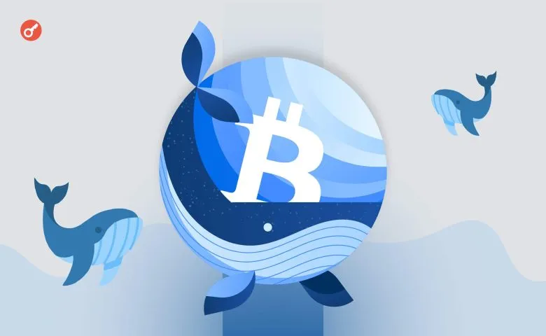 З 11 березня біткоїн-кити накопичили понад 129 000 BTC