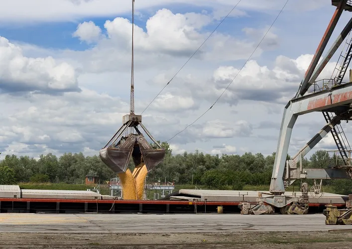 Український експорт агропродукції в першому півріччі скоротився на 9%.