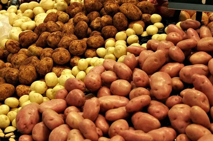 Врожай картоплі знизив ціни на продукцію в Молдові та Україні.