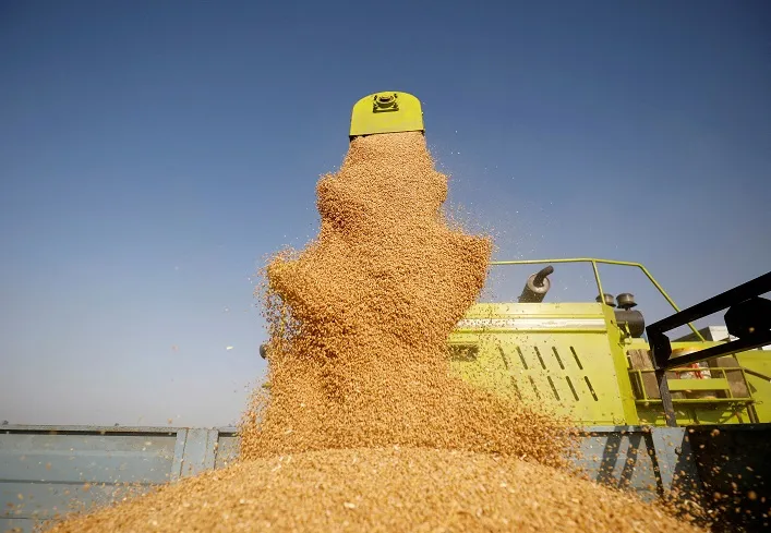 Вітчизняний зернотрейдер Grain Power за пів року наростив виторг від експорту на 32%, забезпечивши надходження в Україну понад $33 млн.