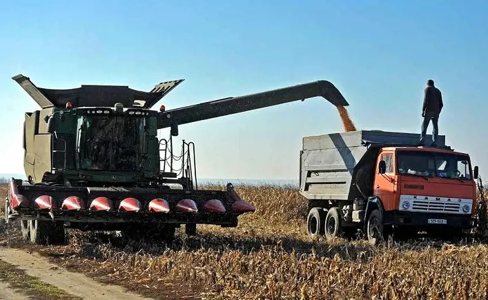 Міжнародний фонд ООН IFAD запускає проєкт на $15 млн для підтримки малих фермерів в Україні.
